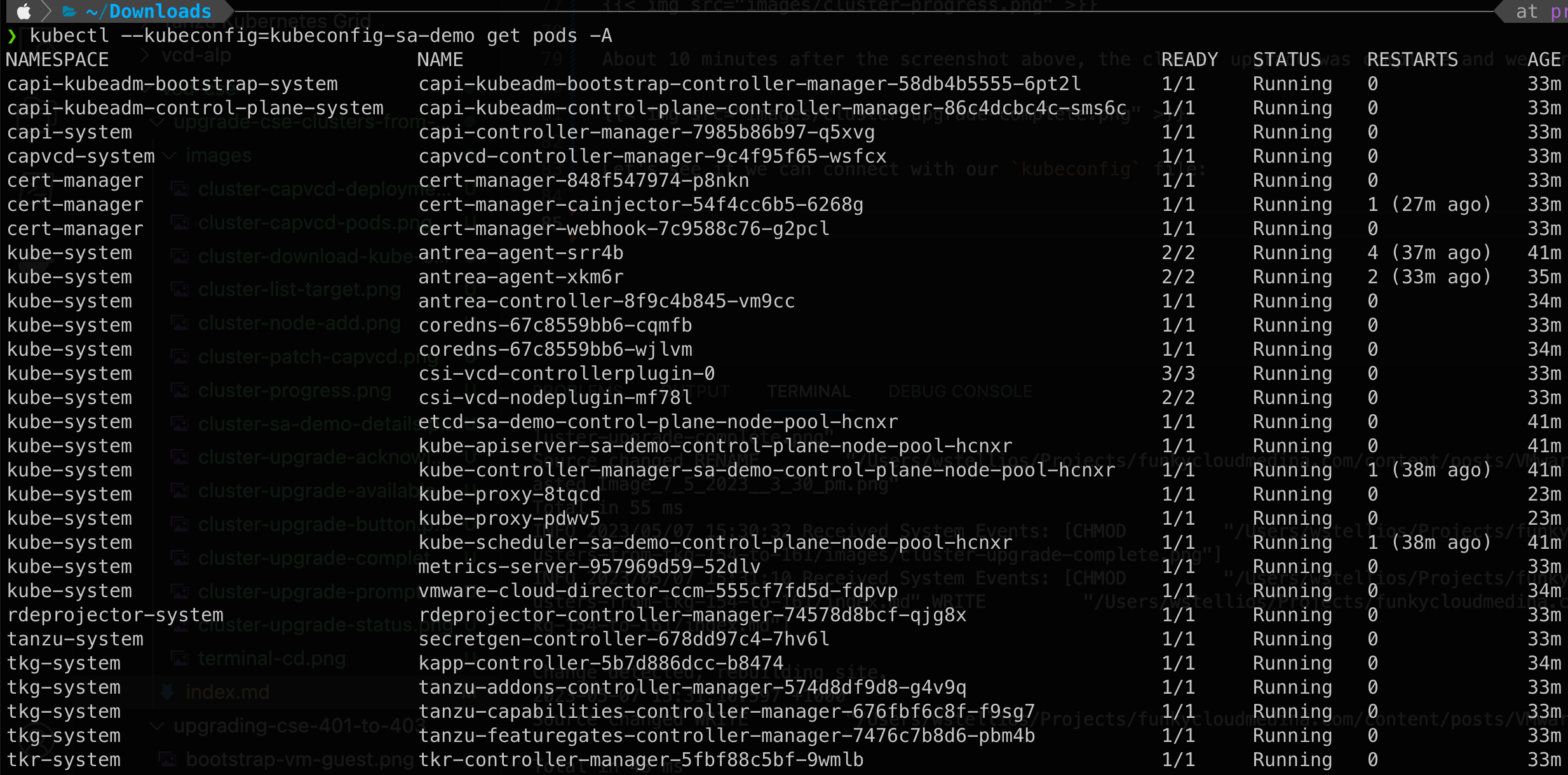 cluster-pod-status